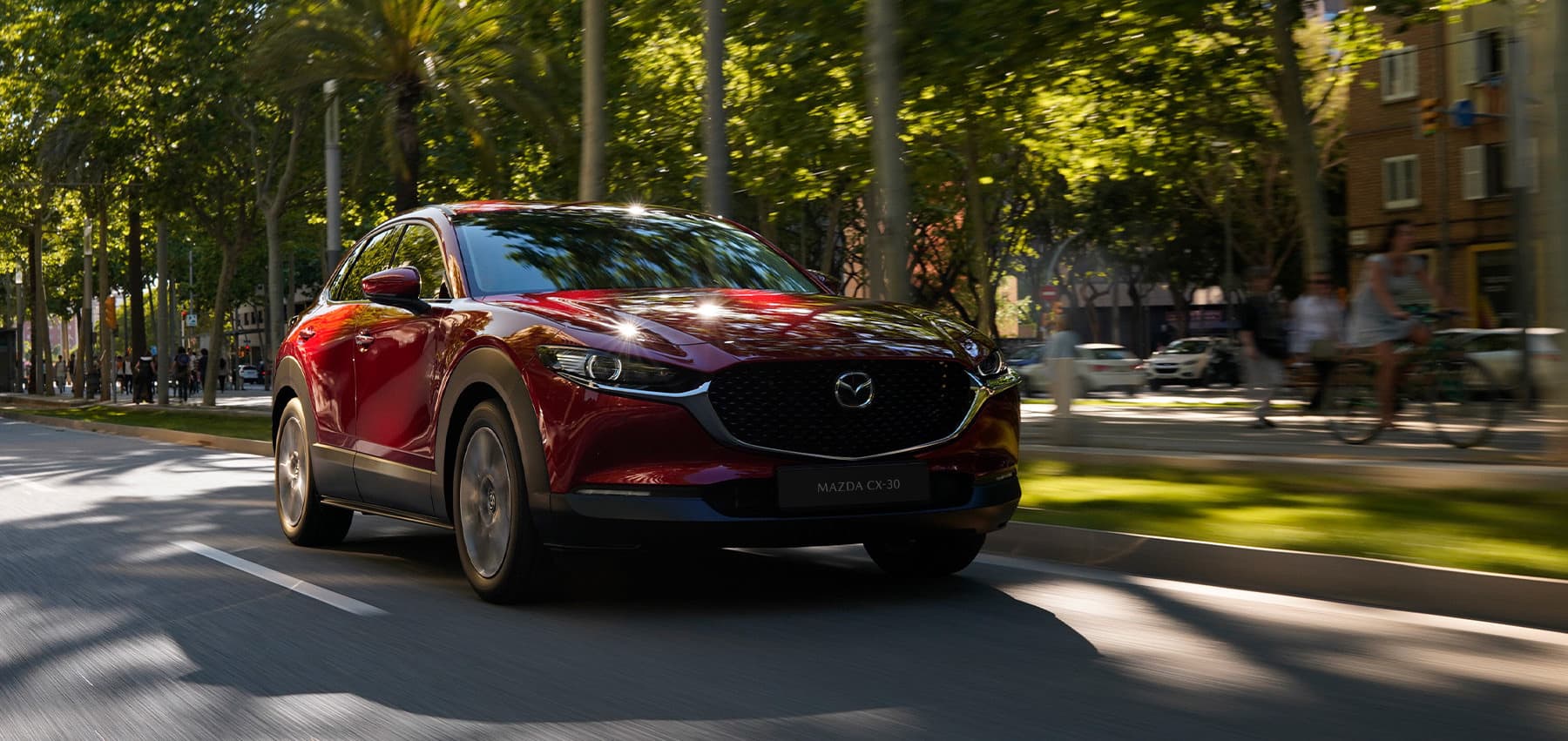 CX-30